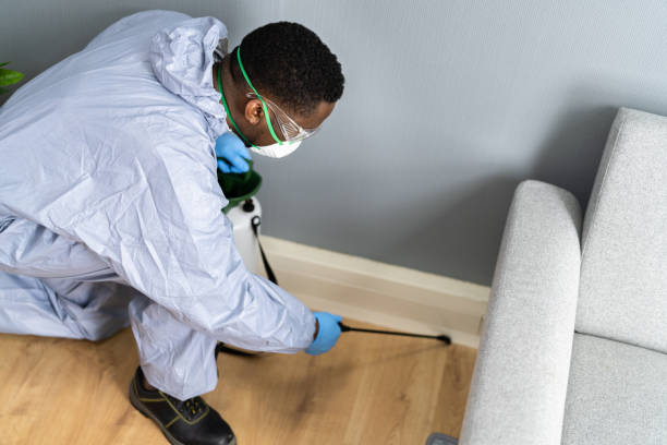 Reliable Second Mesa, AZ Pest Control Solutions